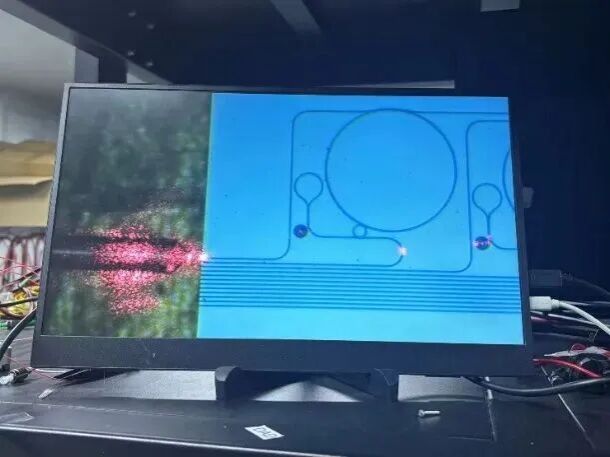 H漫app下载通道